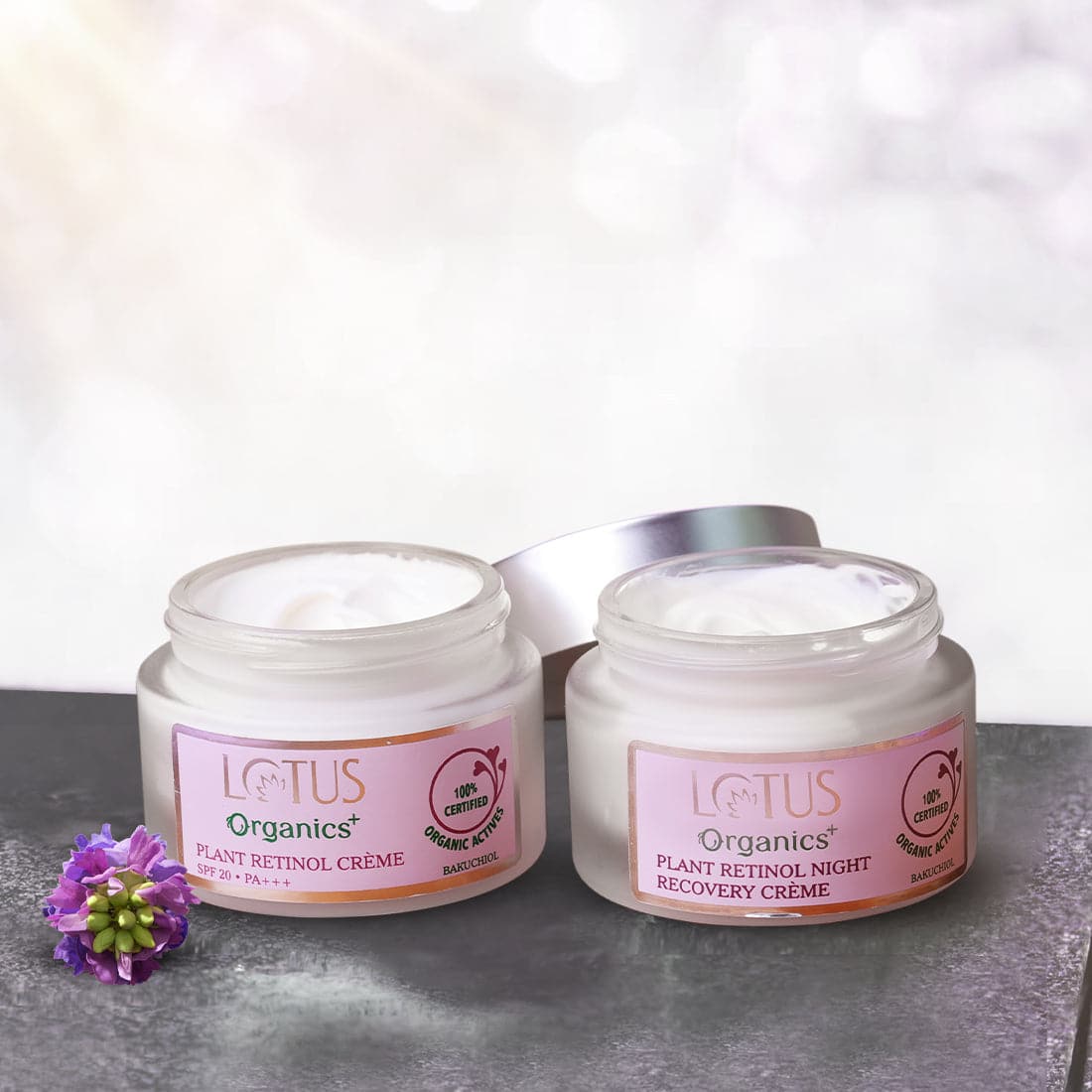Bakuchiol Anti-Ageing Combo - Lotus Organics