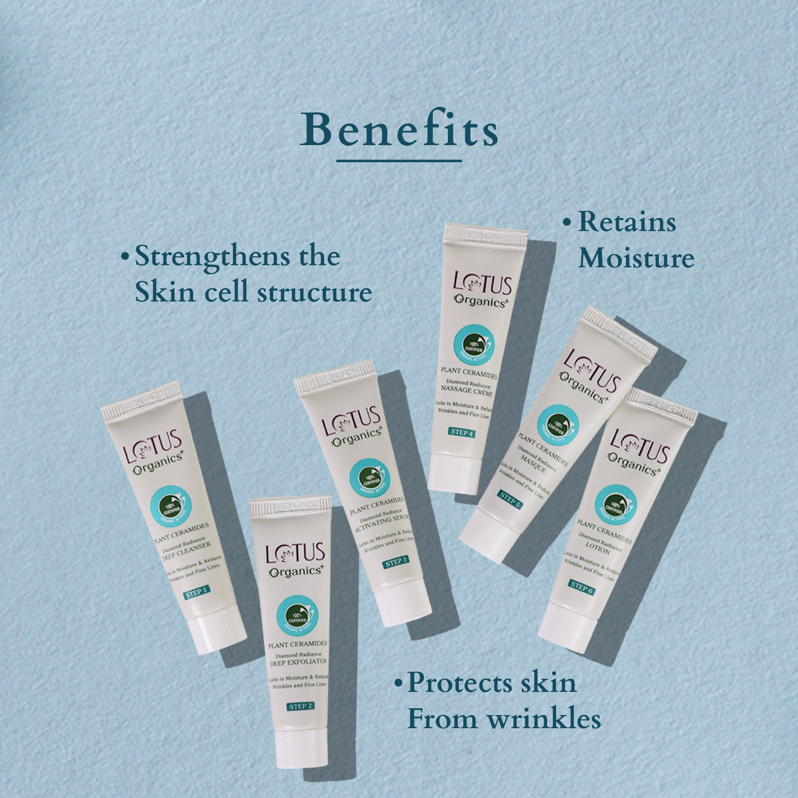 Organics+ Diamond Radiance Facial Kit