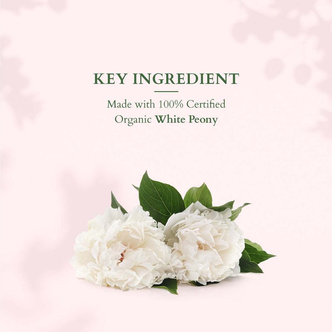 Skin Brightening On the Go Glow Combo Pack