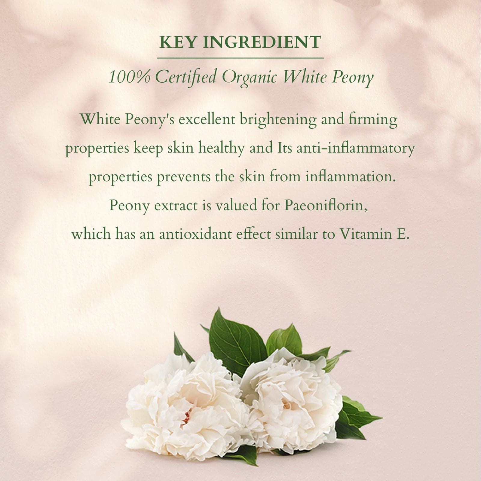 Organics+ Summer Bakuchiol Combo