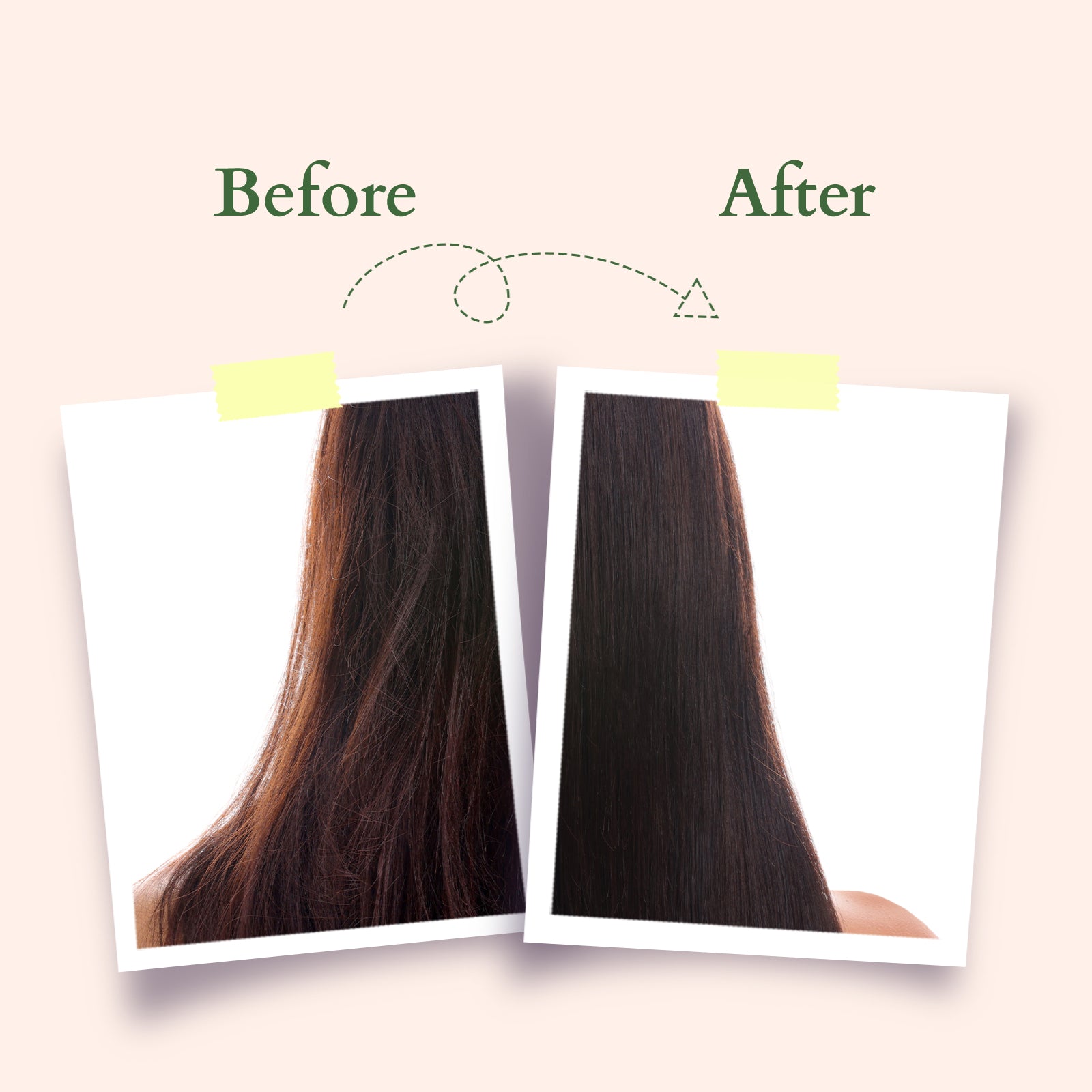 Organics+ Hair Fall Control Revival Mask