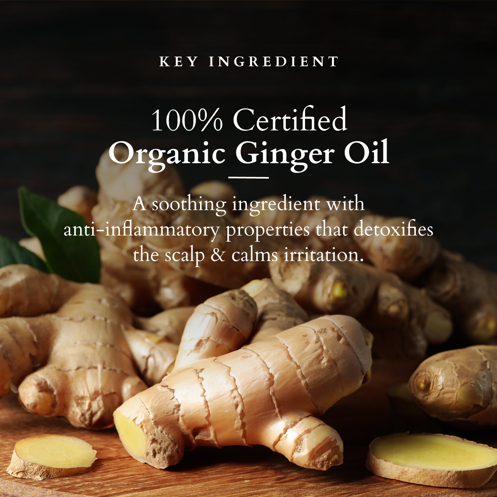 Organics+ Intensive Scalp Revitalizing Oil