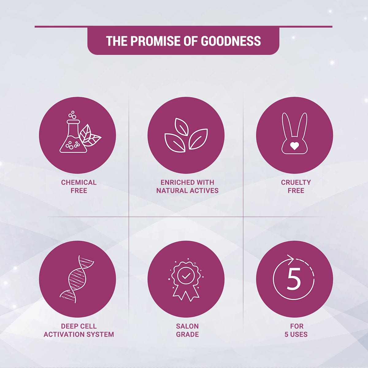 Radiant Platinum Cellular Anti-Ageing Salon Grade Facial Kit