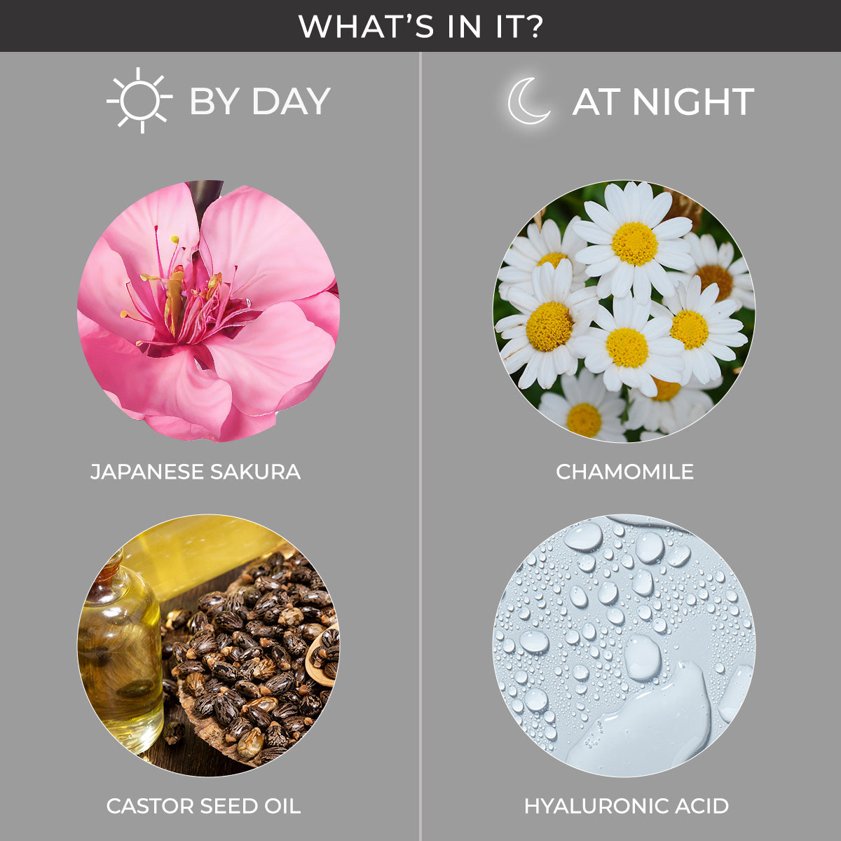 Proedit Day & Night Mascara