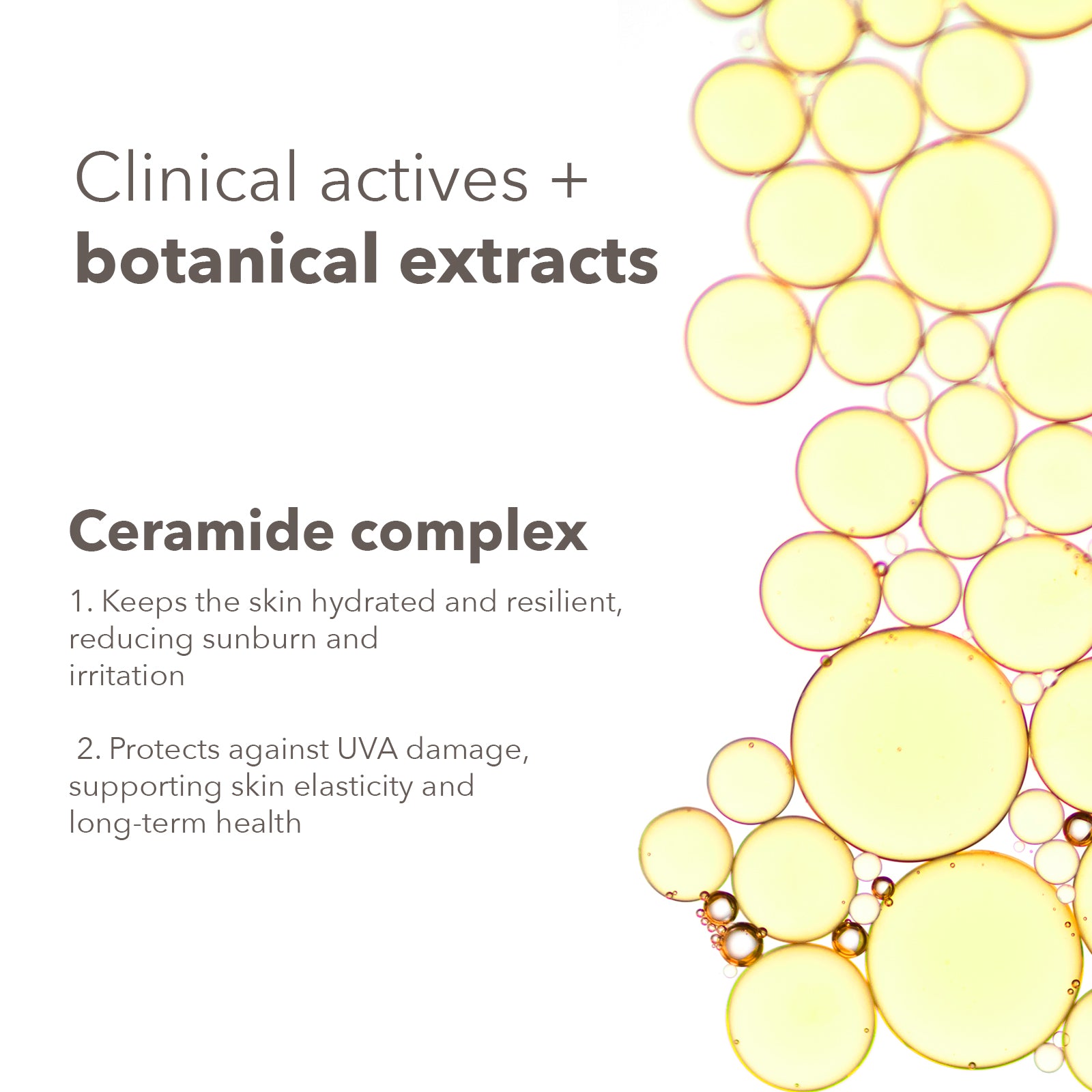 DermaBotanics UV aqua sunscreen spray SPF 50+