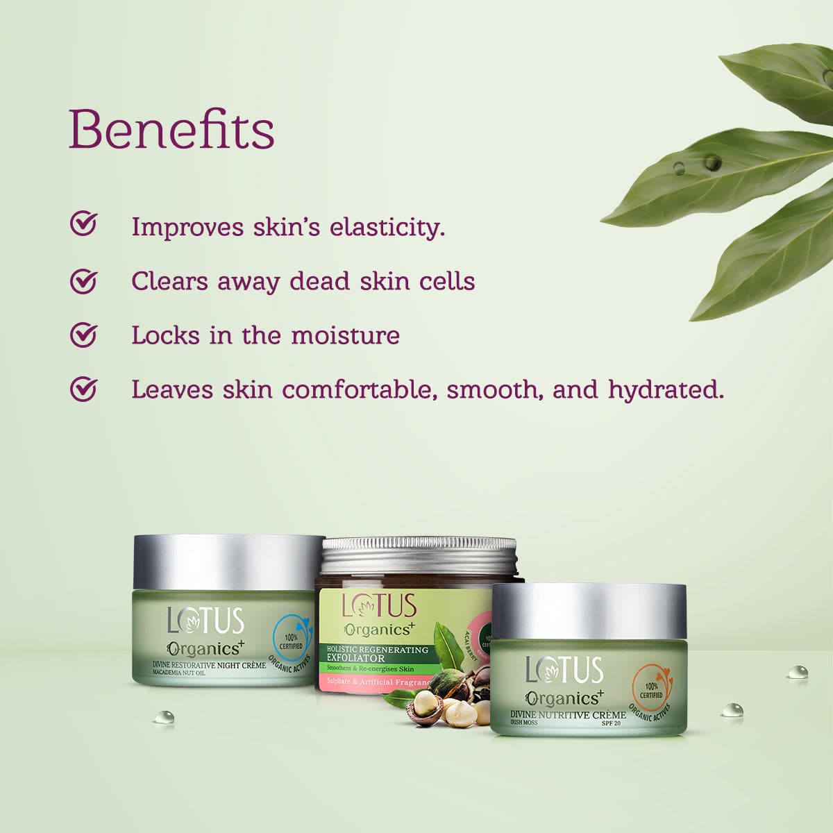 Divine Day and Night Rejuvenation Regime