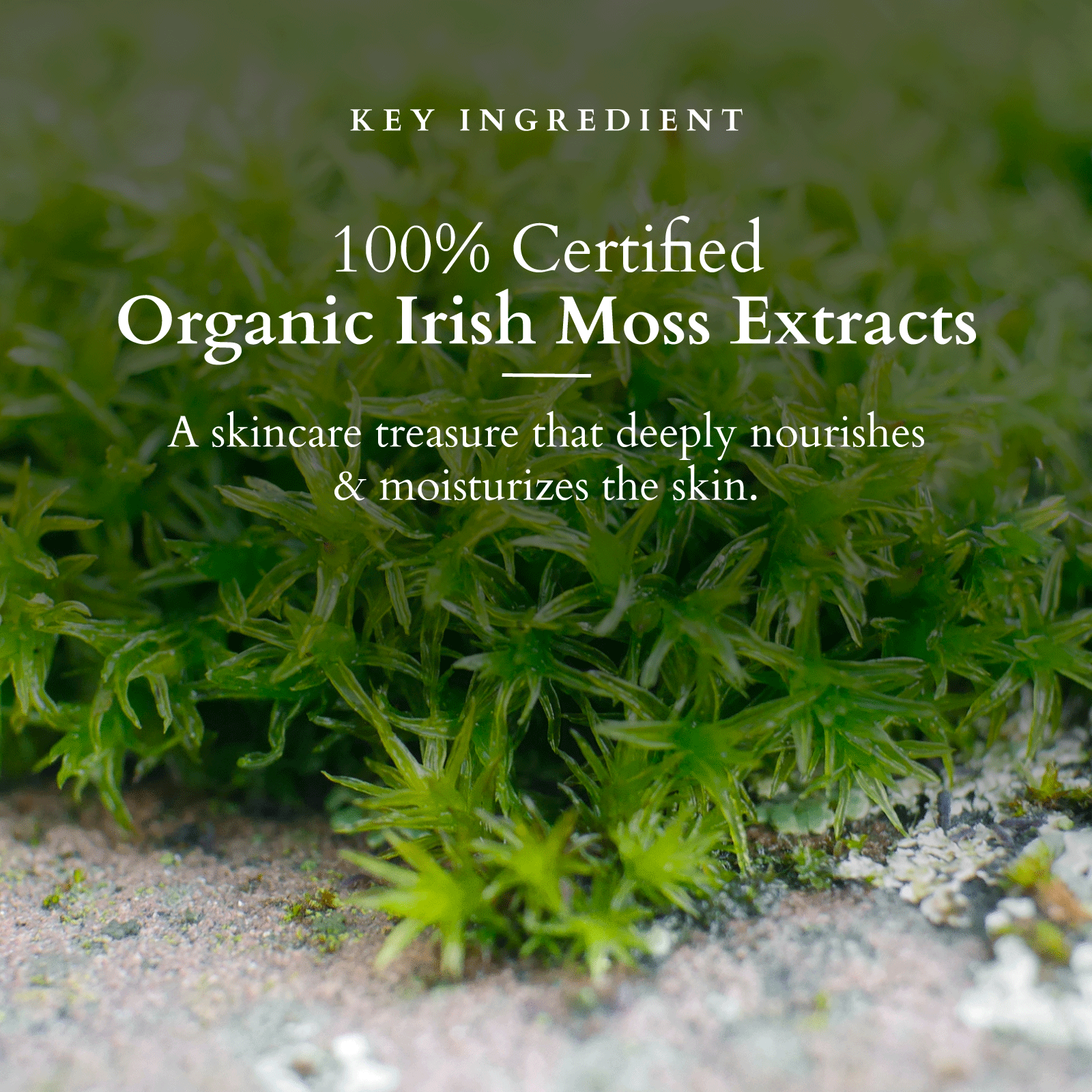 Divine Nutritive Hydrating Lotion SPF20