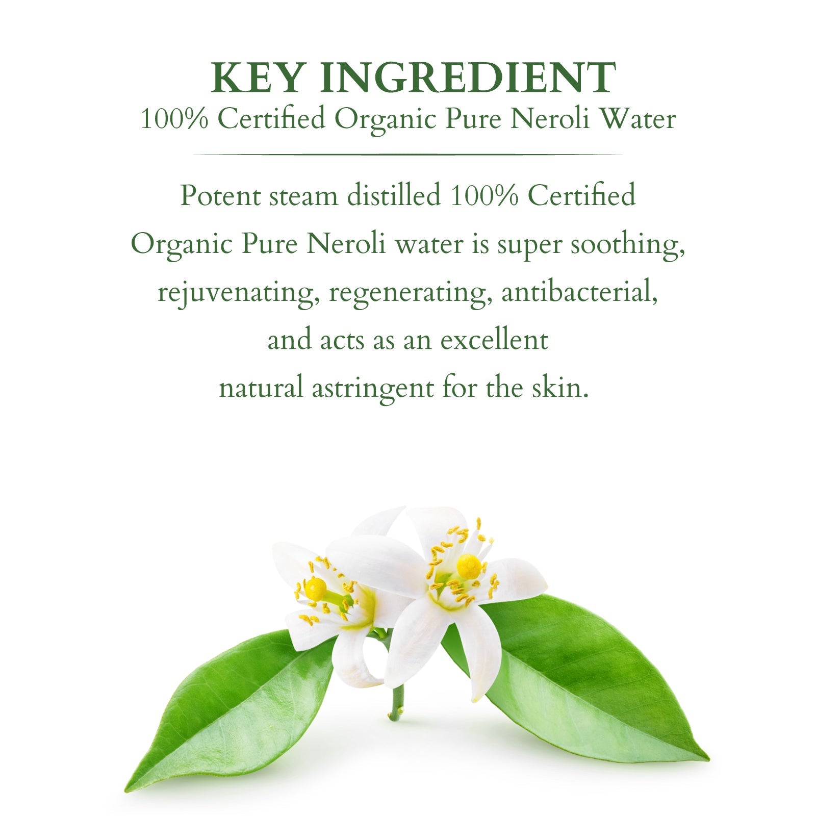 Organics+ 100% PURE NEROLI FLORAL WATER