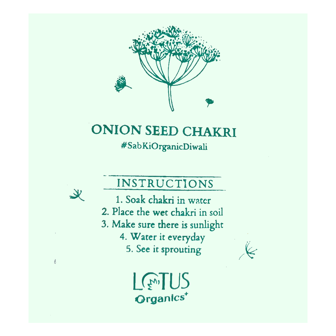 Onion Seed Chakri
