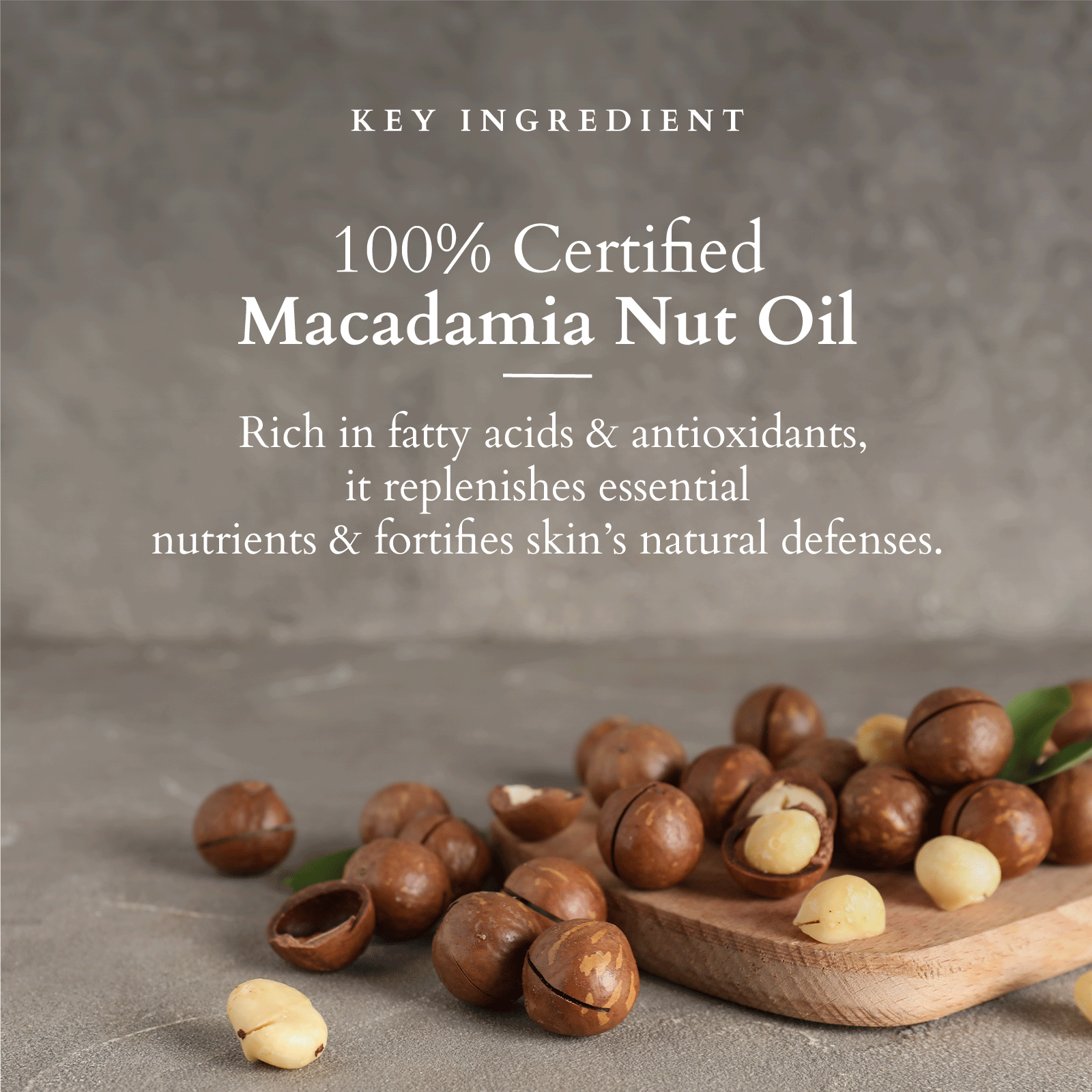 Divine Restorative Night Cream