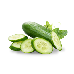 Cucumber