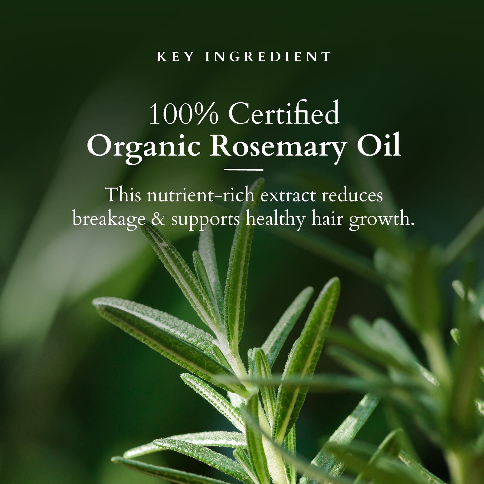 Organics+ Hair Fall Control Revival Mask