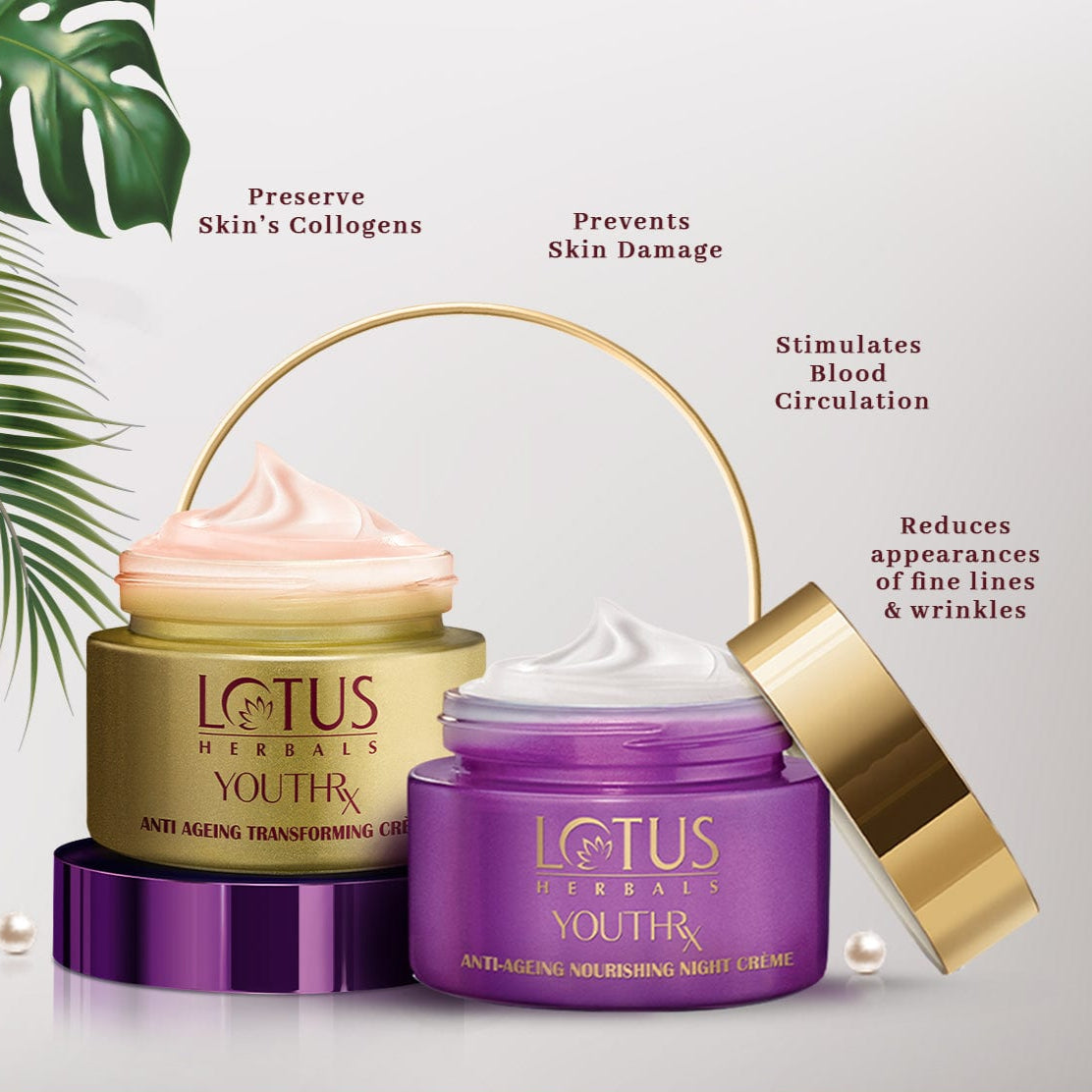 YouthRX Transforming Day Creme